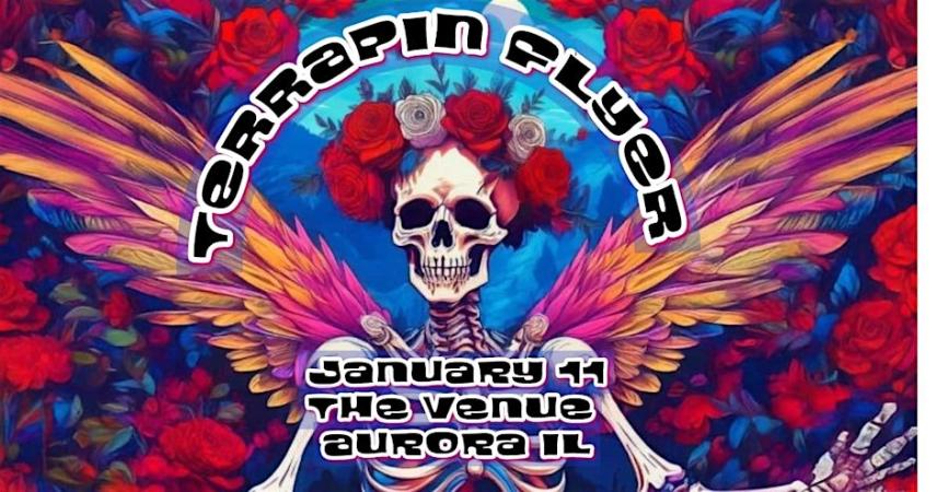 Terrapin Flyer