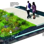Transforming Aurora: How Green Infrastructure is Improving Stormwater Management