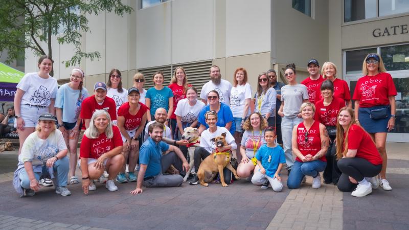 Makin' Strides for Strays