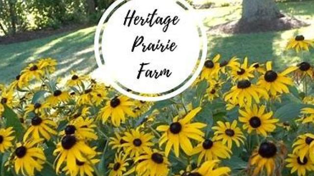 Heritage Prairie Farm