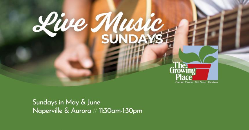 LIVE MUSIC SUNDAYS!