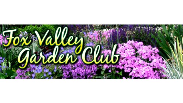 Buzzing with Color: Aurora’s 28th Annual Gardeners’ Sale Is Back and Bigger Than Ever