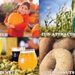 Experience Pumpkin Daze at Abbey Farms: A Fall Tradition in Aurora