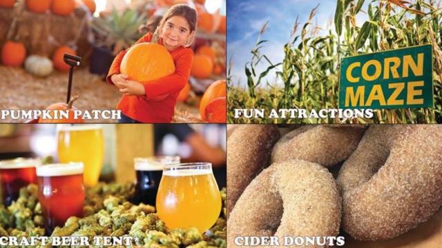 Experience Pumpkin Daze at Abbey Farms: A Fall Tradition in Aurora