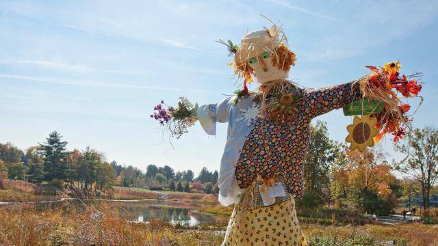 Get Ready for the 2025 Scarecrow Walk – Bigger, Better, and Spookier than Ever!