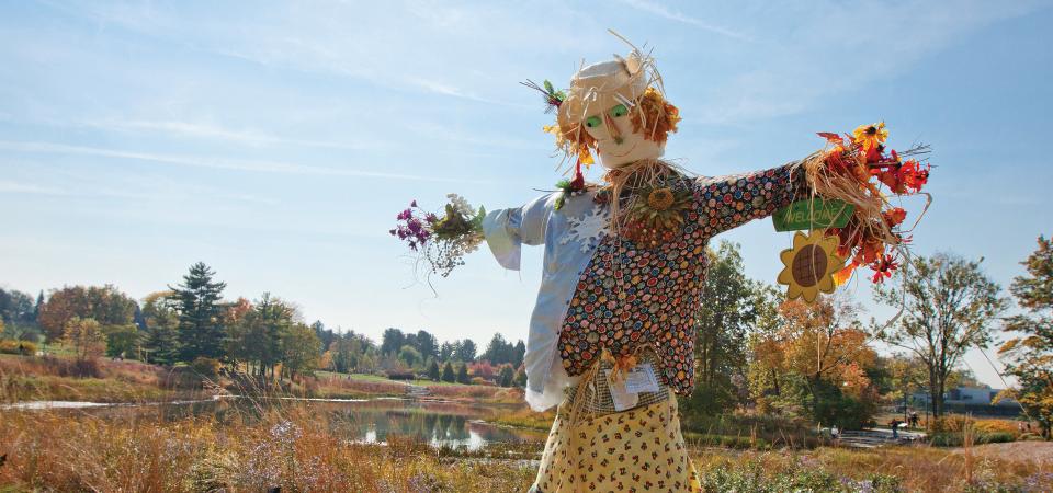 Get Ready for the 2025 Scarecrow Walk – Bigger, Better, and Spookier than Ever!