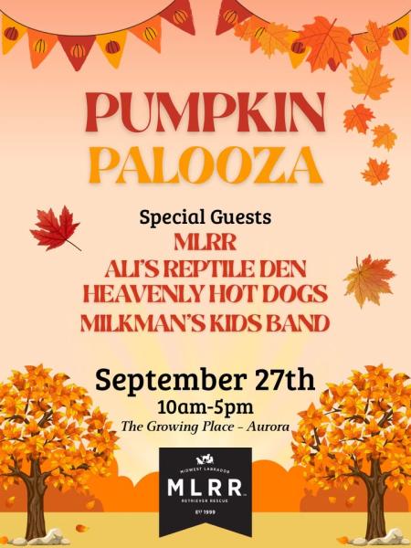 Pumpkin Palooza