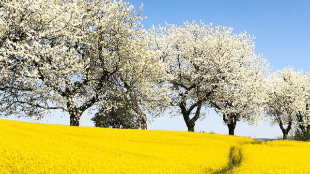Flourishing Lives Counseling