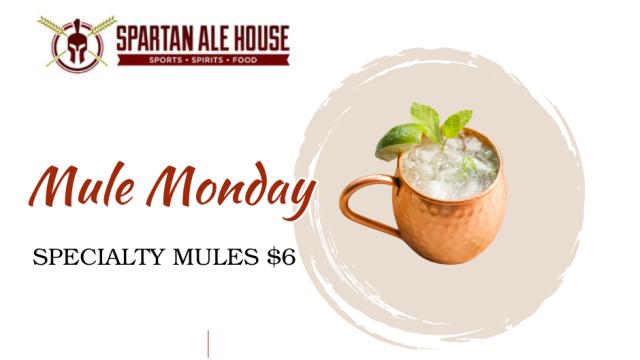 Mule Monday