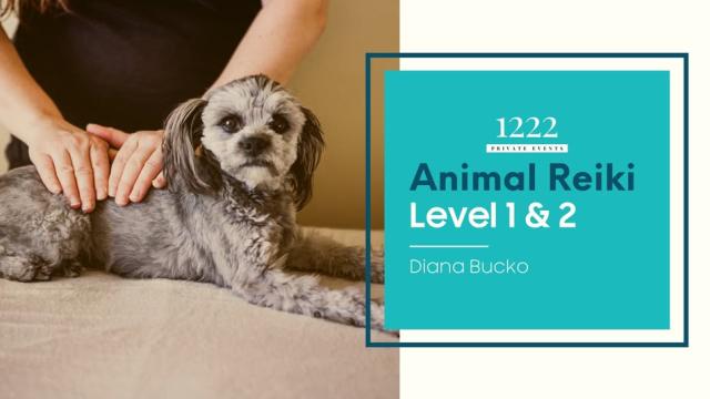 Animal Reiki Level 1 & 2