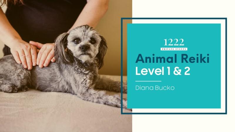 Animal Reiki Level 1 & 2