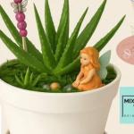 Succulent & Fairy Wand workshop