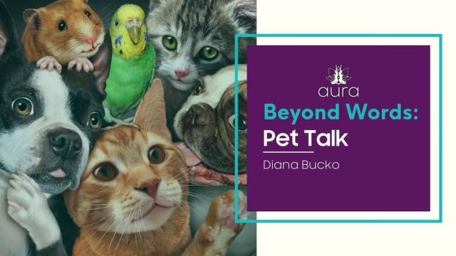 Beyond Words: Pet Talk