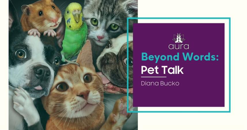 Beyond Words: Pet Talk