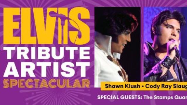 Elvis Tribute Artist Spectacular