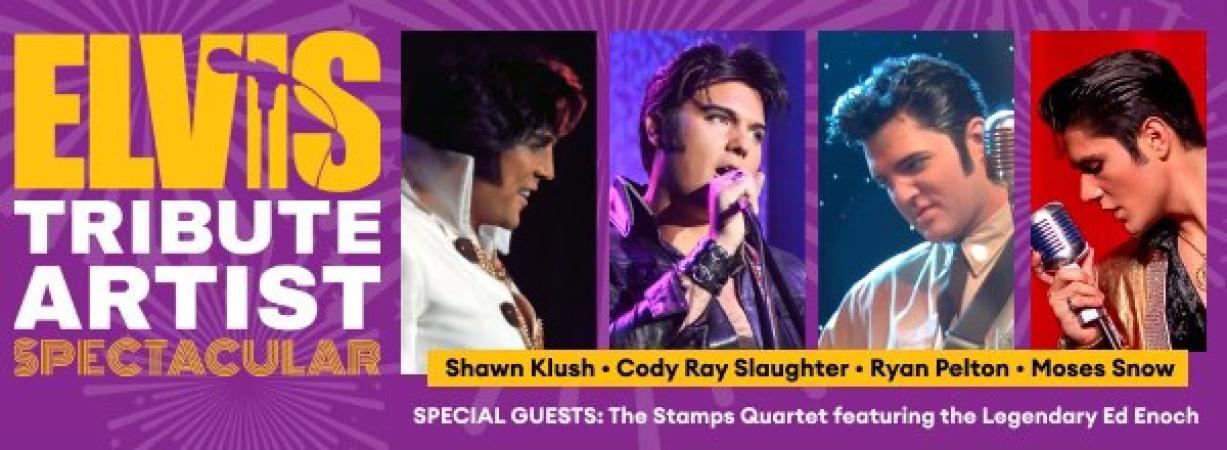 Elvis Tribute Artist Spectacular