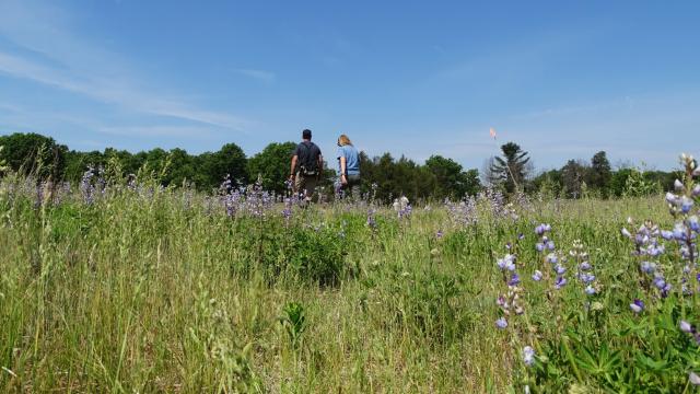 Ice Age Trail