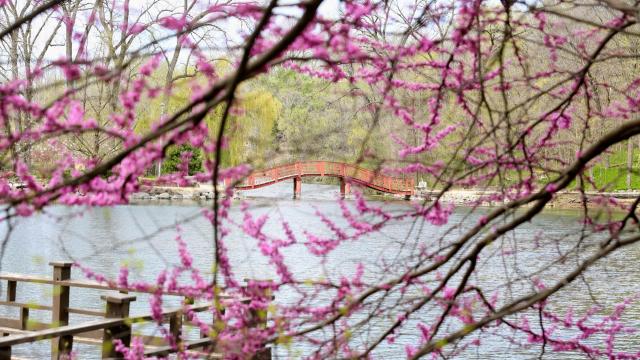 Rotary Botanical Gardens 