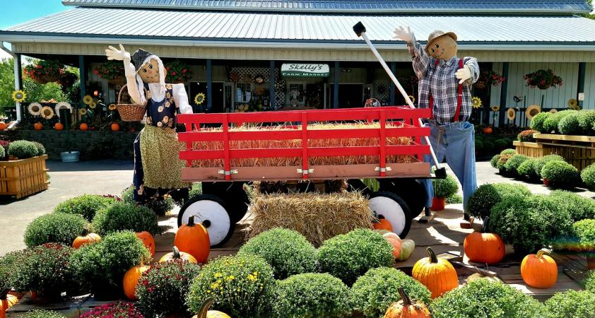 Skelly's Corn Maze & Fall Festival