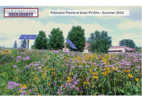 Solar & Pollinator Prairie