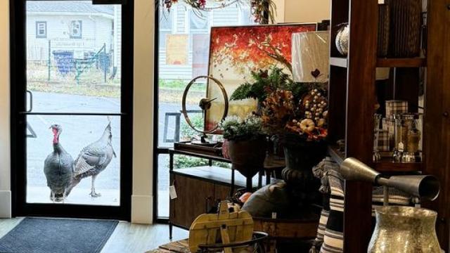 50% Off Select Fall Decor!