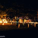 Striegel Light Show