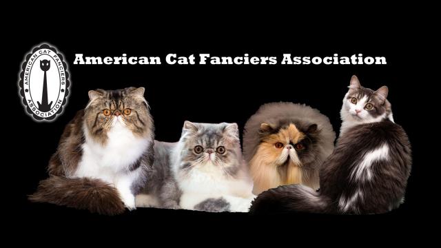 American Cat Fanciers Association - ACFA