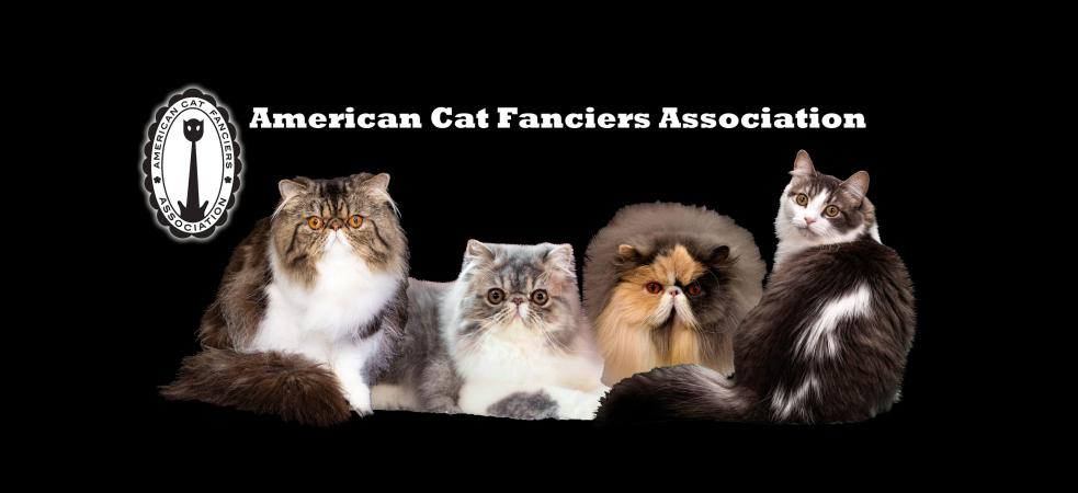 ACFA Cat Show