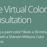 Free Virtual Color Consultation