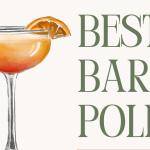 Best Bar in Janesville?