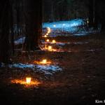 Magnolia Bluff Candlelight Hike