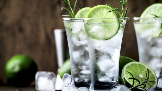 Gins From Around the World Tasting