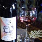 Wine and Garden Party