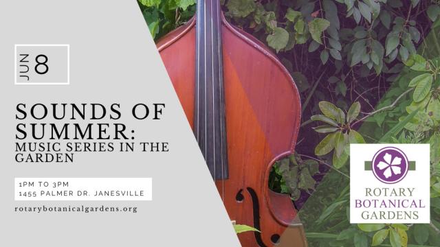Sounds of Summer Live Music Series