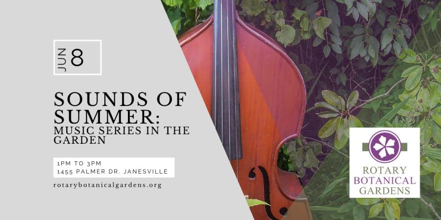 Sounds of Summer Live Music Series