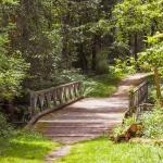 Summer Night Hike at Rockport Park