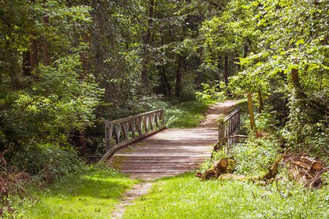 Summer Night Hike at Rockport Park