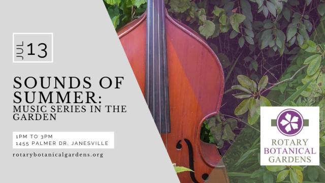 Sounds of Summer Live Music Series