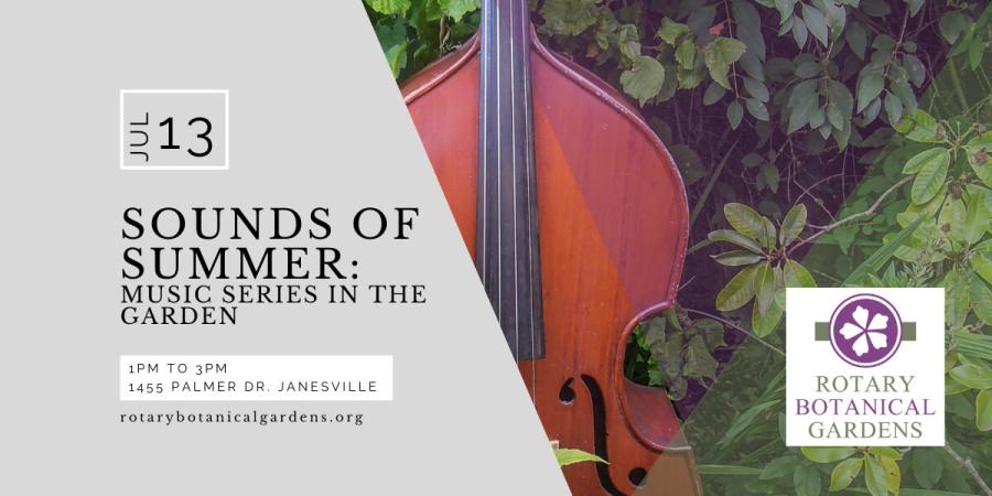 Sounds of Summer Live Music Series