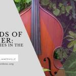 Sounds of Summer Live Music Series