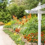 Sound in Bloom: Sound Bath