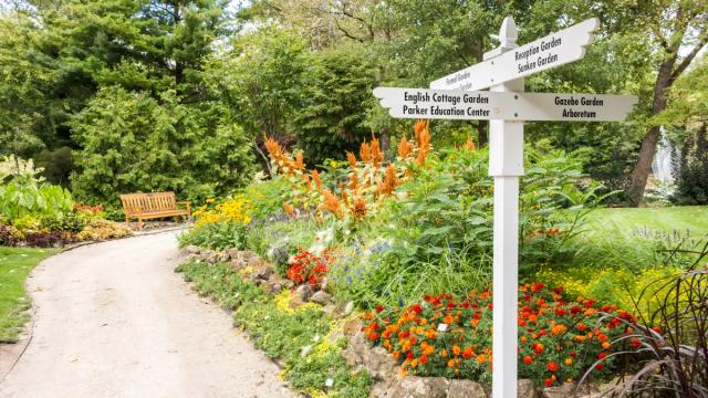 Nature Walk & Meditation in the Gardens