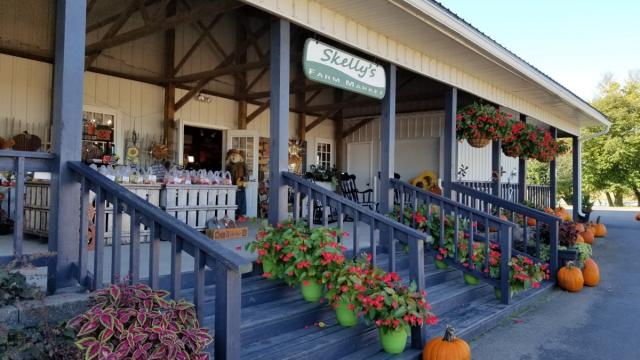 Skelly's Corn Maze & Fall Festival