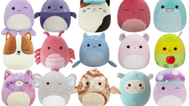 Rock County Squishmallow Group Pop-Up Sale