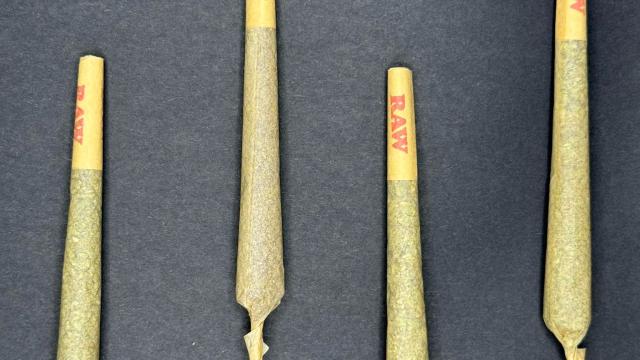 Sacred Leaf Social Club