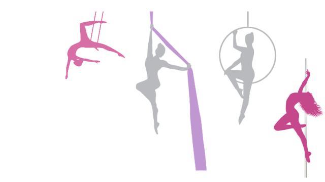 Silk & Steel Aerial Arts