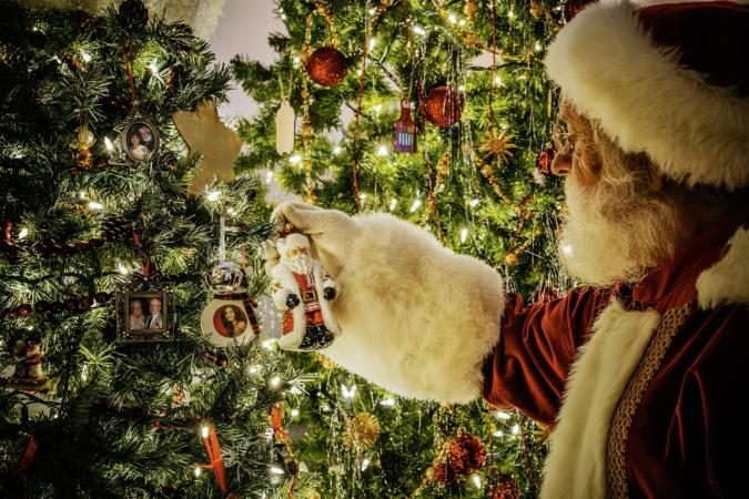 Trees, Lights and Traditions! Enjoy the Holiday Tree Show at the Lincoln-Tallman House