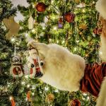 Trees, Lights and Traditions! Enjoy the Holiday Tree Show at the Lincoln-Tallman House