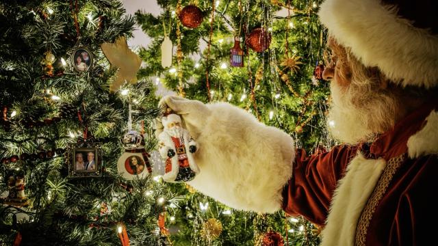 Trees, Lights and Traditions! Enjoy the Holiday Tree Show at the Lincoln-Tallman House