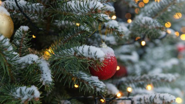 Blain's Farm & Fleet (Janesville)